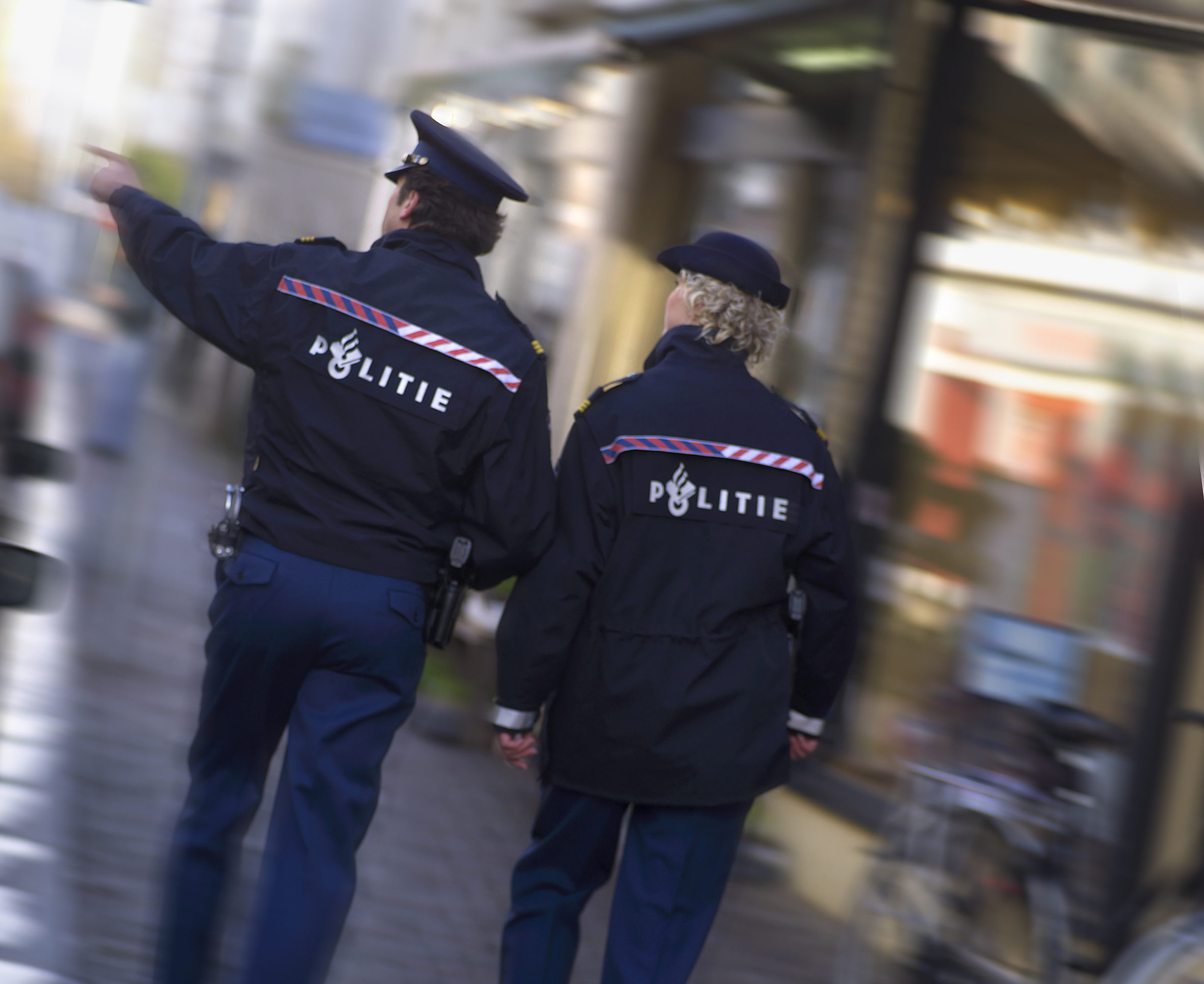 workforce planning dutch police case